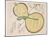 Water Gourd and Cherry Blossoms-Rosh?-Mounted Giclee Print