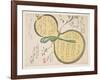 Water Gourd and Cherry Blossoms-Rosh?-Framed Giclee Print