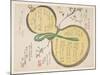 Water Gourd and Cherry Blossoms-Rosh?-Mounted Giclee Print