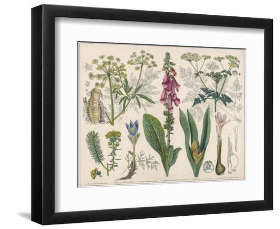 Photographic Print, , large