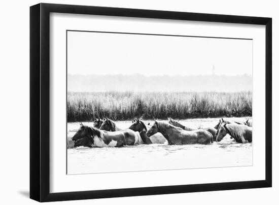 Water Horses III-PHBurchett-Framed Art Print