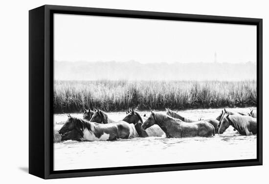 Water Horses III-PHBurchett-Framed Stretched Canvas