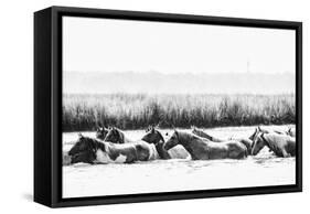 Water Horses III-PHBurchett-Framed Stretched Canvas