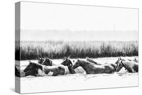Water Horses III-PHBurchett-Stretched Canvas