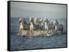 Water Horses VI-PHBurchett-Framed Stretched Canvas