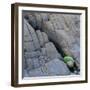 Water in a Fissure of a Stone Surface-Micha Pawlitzki-Framed Premium Photographic Print