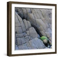 Water in a Fissure of a Stone Surface-Micha Pawlitzki-Framed Photographic Print