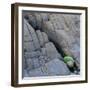 Water in a Fissure of a Stone Surface-Micha Pawlitzki-Framed Photographic Print