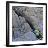 Water in a Fissure of a Stone Surface-Micha Pawlitzki-Framed Photographic Print