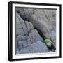 Water in a Fissure of a Stone Surface-Micha Pawlitzki-Framed Photographic Print