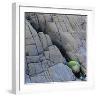 Water in a Fissure of a Stone Surface-Micha Pawlitzki-Framed Photographic Print