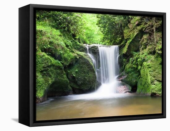 Water in a Forest, Geroldsau Waterfall, Black Forest, Baden-Wurttemberg, Germany-null-Framed Stretched Canvas