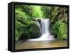 Water in a Forest, Geroldsau Waterfall, Black Forest, Baden-Wurttemberg, Germany-null-Framed Stretched Canvas