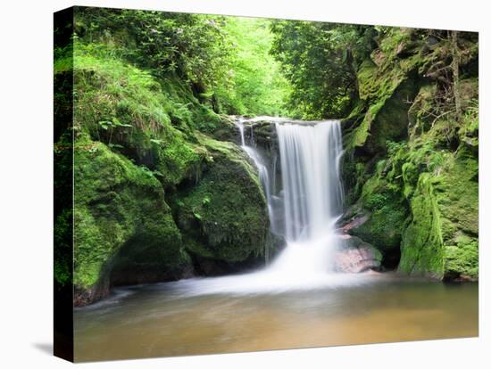 Water in a Forest, Geroldsau Waterfall, Black Forest, Baden-Wurttemberg, Germany-null-Stretched Canvas