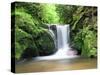 Water in a Forest, Geroldsau Waterfall, Black Forest, Baden-Wurttemberg, Germany-null-Stretched Canvas