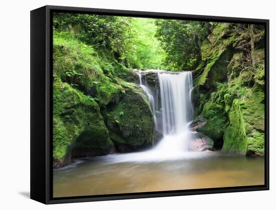 Water in a Forest, Geroldsau Waterfall, Black Forest, Baden-Wurttemberg, Germany-null-Framed Stretched Canvas