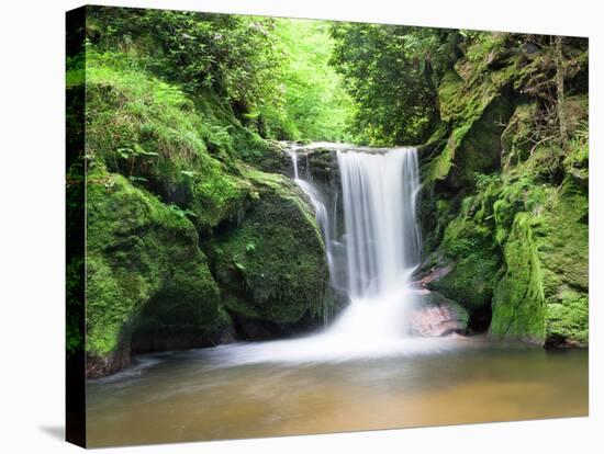 Water in a Forest, Geroldsau Waterfall, Black Forest, Baden-Wurttemberg, Germany-null-Stretched Canvas