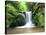 Water in a Forest, Geroldsau Waterfall, Black Forest, Baden-Wurttemberg, Germany-null-Stretched Canvas