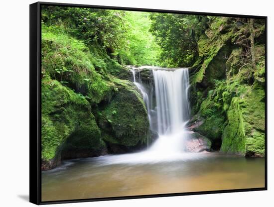 Water in a Forest, Geroldsau Waterfall, Black Forest, Baden-Wurttemberg, Germany-null-Framed Stretched Canvas