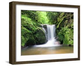 Water in a Forest, Geroldsau Waterfall, Black Forest, Baden-Wurttemberg, Germany-null-Framed Premium Photographic Print