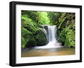 Water in a Forest, Geroldsau Waterfall, Black Forest, Baden-Wurttemberg, Germany-null-Framed Premium Photographic Print