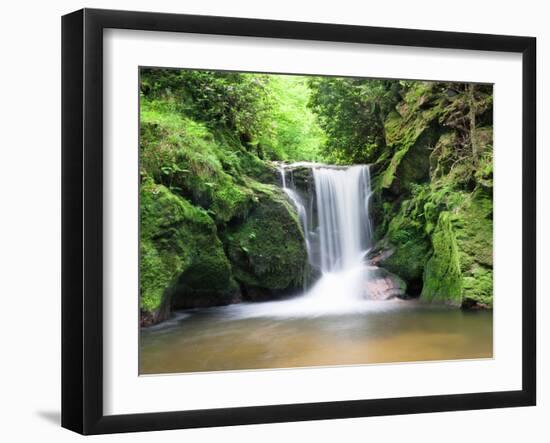 Water in a Forest, Geroldsau Waterfall, Black Forest, Baden-Wurttemberg, Germany-null-Framed Premium Photographic Print