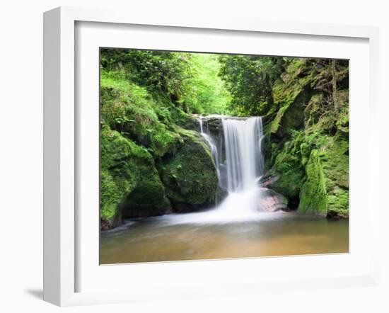 Water in a Forest, Geroldsau Waterfall, Black Forest, Baden-Wurttemberg, Germany-null-Framed Premium Photographic Print