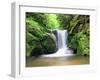 Water in a Forest, Geroldsau Waterfall, Black Forest, Baden-Wurttemberg, Germany-null-Framed Premium Photographic Print