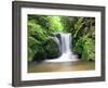 Water in a Forest, Geroldsau Waterfall, Black Forest, Baden-Wurttemberg, Germany-null-Framed Photographic Print