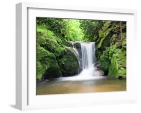 Water in a Forest, Geroldsau Waterfall, Black Forest, Baden-Wurttemberg, Germany-null-Framed Photographic Print