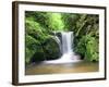 Water in a Forest, Geroldsau Waterfall, Black Forest, Baden-Wurttemberg, Germany-null-Framed Photographic Print