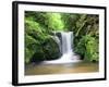 Water in a Forest, Geroldsau Waterfall, Black Forest, Baden-Wurttemberg, Germany-null-Framed Photographic Print