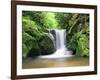 Water in a Forest, Geroldsau Waterfall, Black Forest, Baden-Wurttemberg, Germany-null-Framed Photographic Print