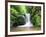 Water in a Forest, Geroldsau Waterfall, Black Forest, Baden-Wurttemberg, Germany-null-Framed Photographic Print