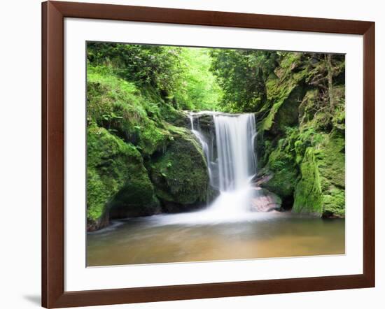 Water in a Forest, Geroldsau Waterfall, Black Forest, Baden-Wurttemberg, Germany-null-Framed Photographic Print