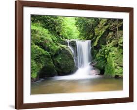 Water in a Forest, Geroldsau Waterfall, Black Forest, Baden-Wurttemberg, Germany-null-Framed Photographic Print