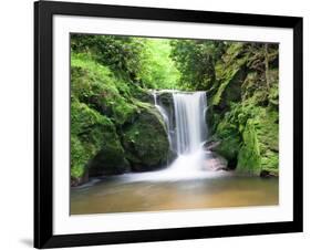 Water in a Forest, Geroldsau Waterfall, Black Forest, Baden-Wurttemberg, Germany-null-Framed Photographic Print