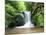 Water in a Forest, Geroldsau Waterfall, Black Forest, Baden-Wurttemberg, Germany-null-Mounted Photographic Print