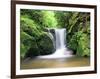 Water in a Forest, Geroldsau Waterfall, Black Forest, Baden-Wurttemberg, Germany-null-Framed Photographic Print