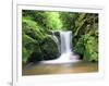 Water in a Forest, Geroldsau Waterfall, Black Forest, Baden-Wurttemberg, Germany-null-Framed Photographic Print