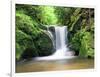 Water in a Forest, Geroldsau Waterfall, Black Forest, Baden-Wurttemberg, Germany-null-Framed Photographic Print