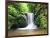 Water in a Forest, Geroldsau Waterfall, Black Forest, Baden-Wurttemberg, Germany-null-Framed Photographic Print