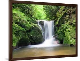 Water in a Forest, Geroldsau Waterfall, Black Forest, Baden-Wurttemberg, Germany-null-Framed Photographic Print