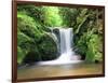 Water in a Forest, Geroldsau Waterfall, Black Forest, Baden-Wurttemberg, Germany-null-Framed Photographic Print