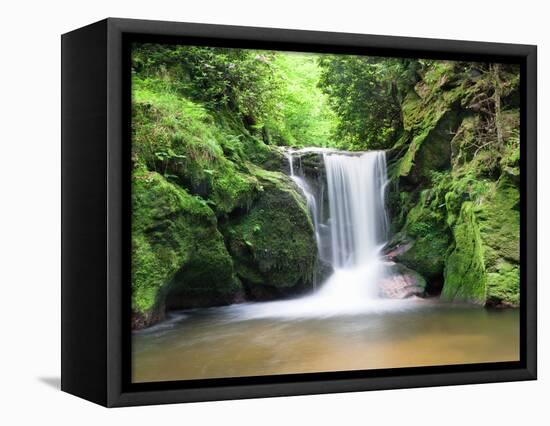 Water in a Forest, Geroldsau Waterfall, Black Forest, Baden-Wurttemberg, Germany-null-Framed Stretched Canvas