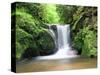 Water in a Forest, Geroldsau Waterfall, Black Forest, Baden-Wurttemberg, Germany-null-Stretched Canvas