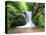 Water in a Forest, Geroldsau Waterfall, Black Forest, Baden-Wurttemberg, Germany-null-Stretched Canvas