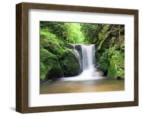 Water in a Forest, Geroldsau Waterfall, Black Forest, Baden-Wurttemberg, Germany-null-Framed Photographic Print