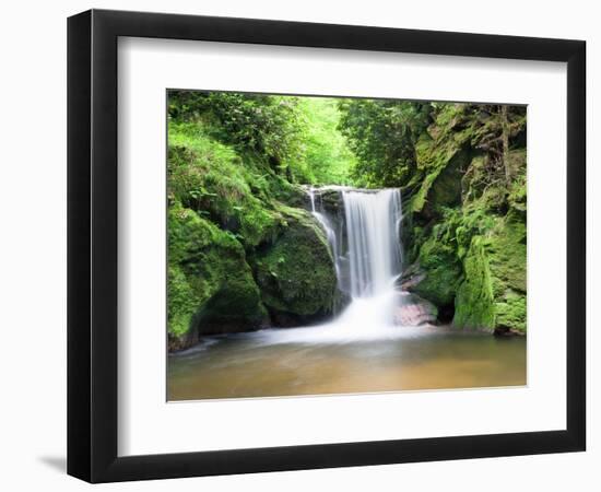 Water in a Forest, Geroldsau Waterfall, Black Forest, Baden-Wurttemberg, Germany-null-Framed Photographic Print