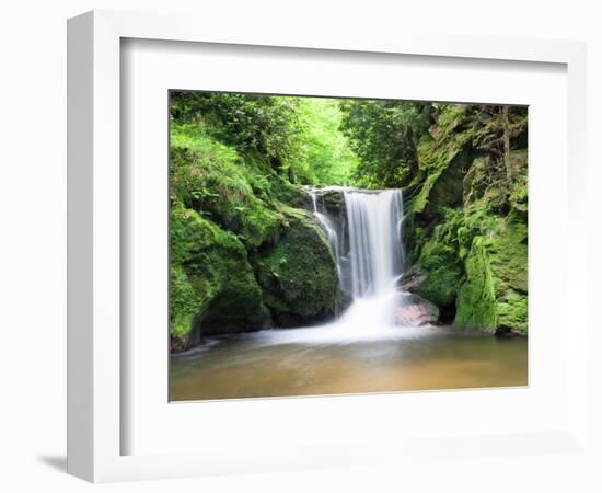 Water in a Forest, Geroldsau Waterfall, Black Forest, Baden-Wurttemberg, Germany-null-Framed Photographic Print